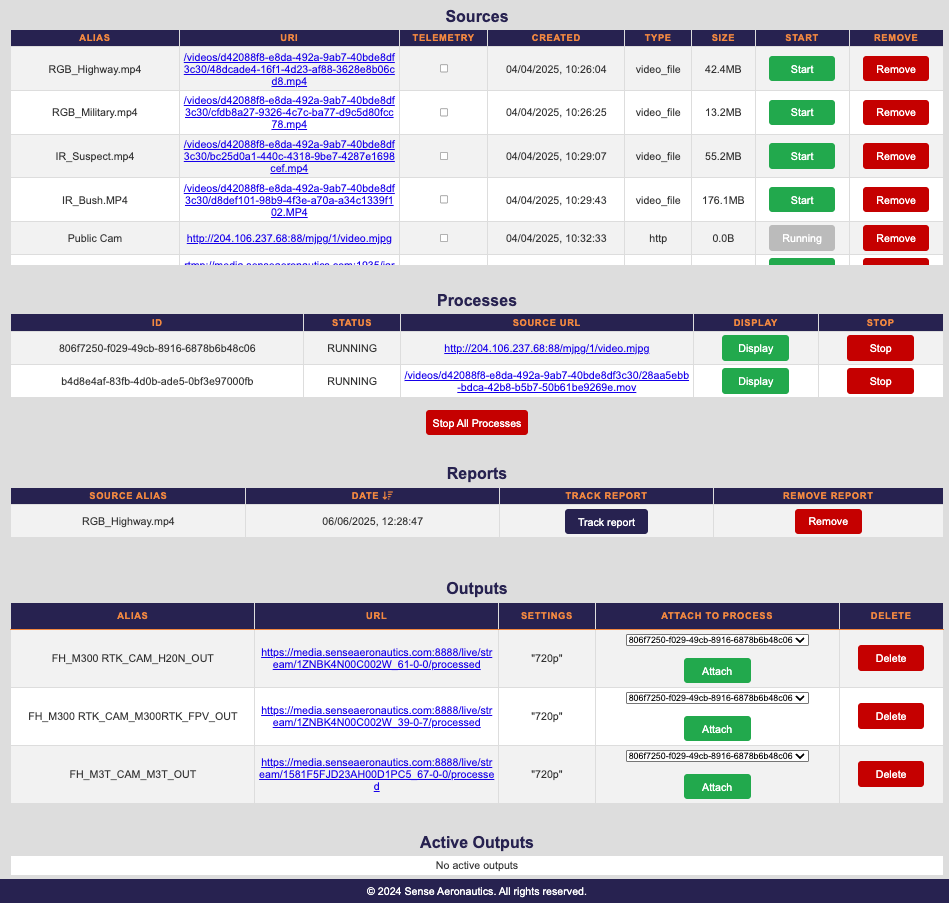 Overview of the info page with two running processes and one report available from a previous process